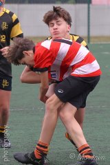 251011_u16_033_r6_13940.jpg - JPEG - 682.3 ko - 2000×3001 px