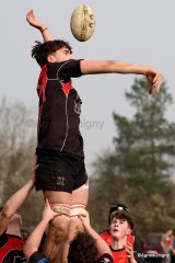 26-028-bj8a6712.jpg - JPEG - 482.7 ko - 1955×2936 px