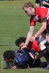 28-43.jpg - JPEG - 886.2 ko - 1365×2048 px