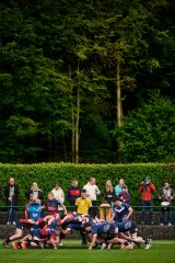 5148_jz2_7275.jpg - JPEG - 1.1 Mo - 2000×3000 px