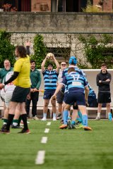 5287_jz1_9164.jpg - JPEG - 775.3 ko - 2000×3000 px