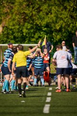 5438_jz2_3295.jpg - JPEG - 874.4 ko - 2000×3000 px