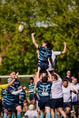 5441_jz2_3298.jpg - JPEG - 825.9 ko - 2000×3000 px