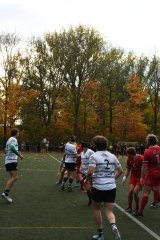 copie_de_dsc_2101.jpg - JPEG - 1.2 Mo - 2000×3000 px