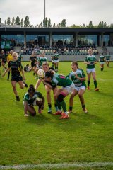 dsc03166.jpg - JPEG - 1.6 Mo - 2000×3000 px