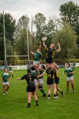 dsc03327.jpg - JPEG - 1.6 Mo - 2000×3000 px