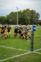 dsc03388-2.jpg - JPEG - 1.5 Mo - 2000×3000 px