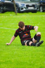 hmd00305.jpg - JPEG - 1.2 Mo - 2000×3003 px