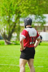 hmd00446.jpg - JPEG - 1.1 Mo - 2000×3003 px