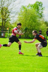 hmd00539.jpg - JPEG - 1.2 Mo - 2000×3003 px