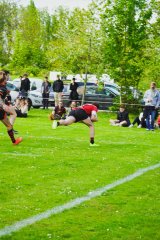 hmd00596.jpg - JPEG - 1.4 Mo - 2000×3003 px