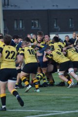 image00002-13.jpg - JPEG - 339.5 ko - 1365×2048 px