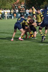 image00010-14.jpg - JPEG - 438.7 ko - 1365×2048 px