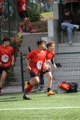 img_2440-3.jpg - JPEG - 959.2 ko - 2000×3001 px