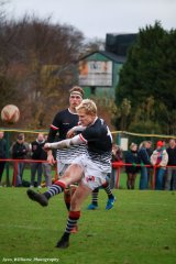 img_3866-3.jpg - JPEG - 694.1 ko - 2000×3000 px