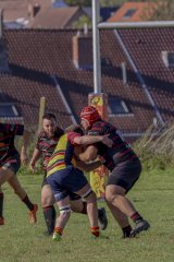 img_3914-2.jpg - JPEG - 747.8 ko - 2000×3000 px