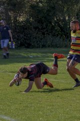 img_3919-3.jpg - JPEG - 802.4 ko - 2000×3000 px