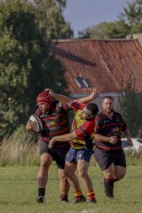 img_3952.jpg - JPEG - 380.5 ko - 2000×3000 px