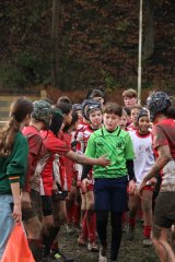 img_5501.jpg - JPEG - 443.9 ko - 1500×2250 px