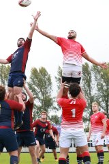 img_5739-2.jpg - JPEG - 679.3 ko - 2000×3000 px