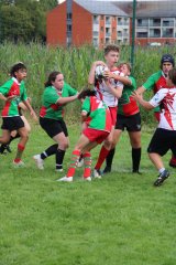 img_8414.jpg - JPEG - 569.1 ko - 1500×2250 px