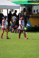 img_8437.jpg - JPEG - 468 ko - 1500×2250 px