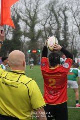 imgl7011.jpg - JPEG - 637.7 ko - 2000×3001 px