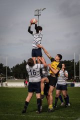 lh_brc_u14_marcq_en_baroel_tournament_-_apr_2024-8941_jpg_compressed.jpg - JPEG - 440.1 ko - 1500×2250 px