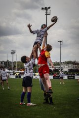 lh_brc_u14_marcq_en_baroel_tournament_-_apr_2024-9082_jpg_compressed.jpg - JPEG - 460.2 ko - 1500×2250 px