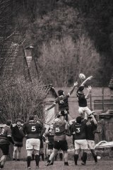 senior_binche_-_ciney_2024_-_rugby_-_rcc_binche_-_www.photoperinne.be_-_photo_sportive_-13.jpg - JPEG - 954.7 ko - 2000×3000 px