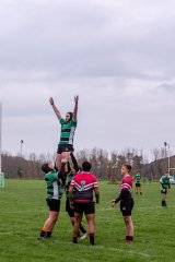 u18_binche_-_antwerpen_2024_-_rugby_-_rcc_binche_-_www.photoperinne.be_-_photo_sportive_-27.jpg - JPEG - 853.4 ko - 2000×3000 px