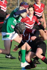 032-img_9685.jpg - JPEG - 428.1 ko - 1500×2248 px