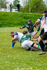 ciney_vs_rcsg_140424-10.jpg - JPEG - 444.2 ko - 1367×2048 px
