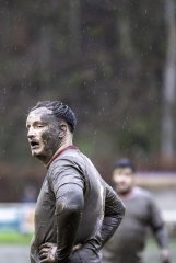 dsc02698-avec_accentuation-bruit.jpg - JPEG - 1013.2 ko - 2000×2999 px