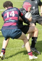 gp5f3564.jpg - JPEG - 1.1 Mo - 2000×2897 px