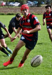 dsc_3048-3.jpg - JPEG - 485.6 ko - 1500×2154 px