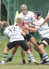 gp5f1339.jpg - JPEG - 797.3 ko - 2000×2853 px