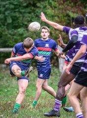 _nz85456.jpg - JPEG - 293.7 ko - 1024×1398 px