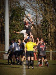 eea3a699-07ac-4497-a375-a607e624b9e3.jpg - JPEG - 302.9 ko - 1535×2048 px