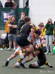 img_4239-3.jpg - JPEG - 694.1 ko - 2000×2667 px