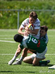 img_4740.jpg - JPEG - 921.5 ko - 2000×2667 px