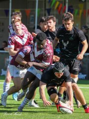 img_9029-2.jpg - JPEG - 874.6 ko - 2000×2667 px