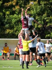 img_9224-2.jpg - JPEG - 826.9 ko - 2000×2667 px