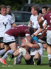 img_9263.jpg - JPEG - 632.3 ko - 2000×2667 px