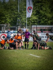 p1351081.jpg - JPEG - 871.6 ko - 2000×2664 px
