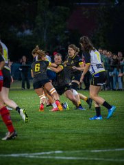 p1468880.jpg - JPEG - 952.9 ko - 2000×2664 px