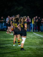 p1468903.jpg - JPEG - 1013.1 ko - 2000×2664 px