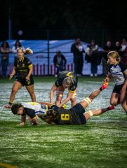 p1468947.jpg - JPEG - 1000.7 ko - 2000×2664 px