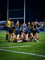 p1469009.jpg - JPEG - 760.5 ko - 2000×2664 px