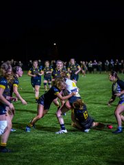 p1469044.jpg - JPEG - 775.4 ko - 2000×2664 px